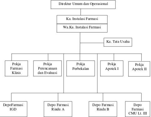 Gambar 3.2.  Struktur Organisasi Instalasi Farmasi RSUP H. Adam Malik 