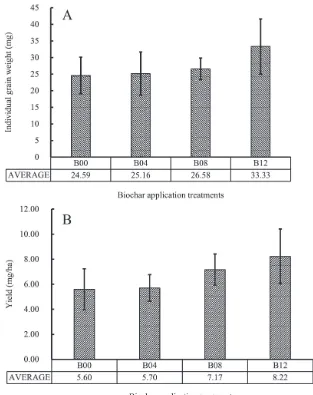 Figure 6. Individual grain weight (A) and yield (B) in rice treated with different rates of biochar.