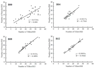 Figure 3. Correlation between number of tillers and number of panicles for each rate of   biochar application in rice cultivated on tropical riparian wetland.