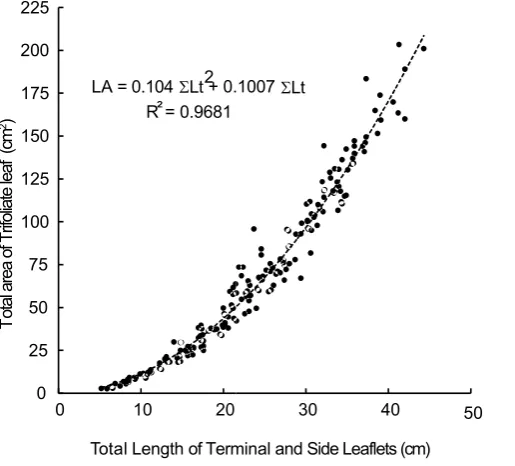Fig. 8. Use of the LW of terminal leaflet for estimating total surface area of trifoliate leaf in snap bean.