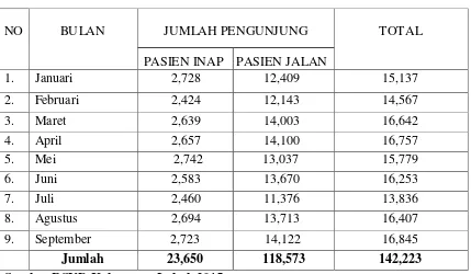 Tabel 3.3 Jumlah Kunjungan Pasien Inap  dan Pasien Jalan di RSUD Dr.Adjidarmo 