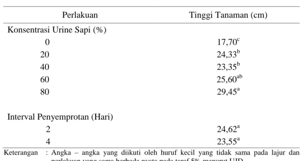 Tabel 4.2. Tinggi Tanaman  Sawi pada Konsentrasi dan Interval  Penyemprotan Urine Sapi yang Berbeda