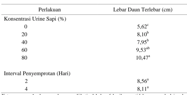 Tabel 4.5. Lebar Daun  Terlebar  Tanaman  Sawi pada Konsentrasi dan Interval Penyemprotan Urine Sapi yang Berbeda