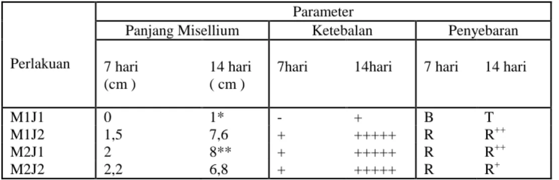 Tabel 3.1. Rerata pertumbuhan misellium jamur tiram dan jamur merang pada media  biji lamtoro dan biji millet selama 7 hari dan 14 hari
