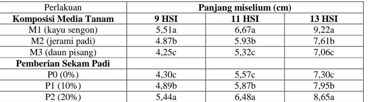 Tabel  1.Rata-rata  panjang  miselium  akibat  perlakuan  komposisi  media  tanam  dan  pemberian  sekam  padi pada 9, 11 dan 13 hari setelah inokulasi (HSI)