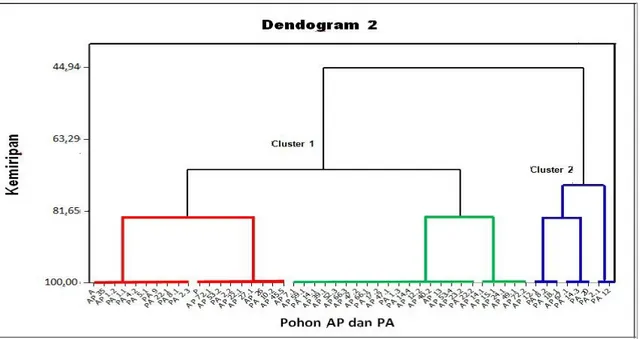 Gambar 2 Hasil Dendogram dari 50 pohon hasil persilangan Arumanis-143 x Podang Urang  