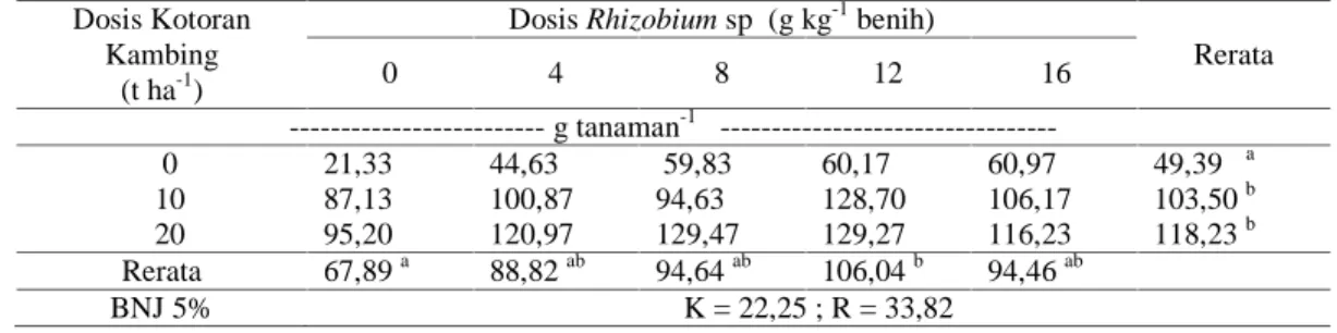Tabel 7. Bobot polong per tanaman kedelai pada saat panen yang diberi pupuk  kotoran kambing dan Rhizobium sp dengan dosis yang berbeda