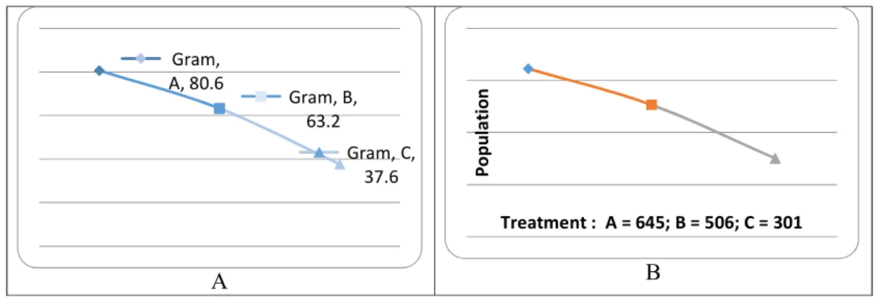 Gambar 1. A. Grafik  Rata-rata Berat (gram)  Maggot; B. Grafik Rata-rata Populasi Maggot