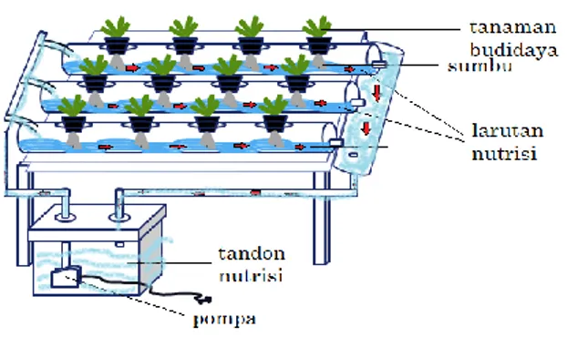 Gambar  1.  Desain  instalasi  hidroponik  sistem  sumbu tersirkulasi 