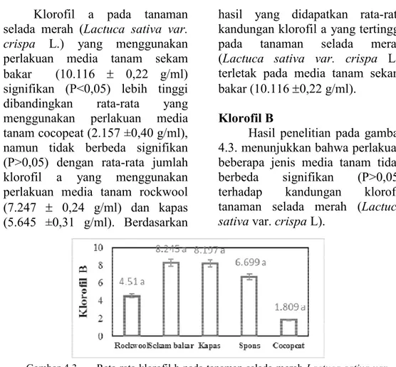 Gambar 4.3.     Rata-rata klorofil b pada tanaman selada merah Lactuca sativa var. 