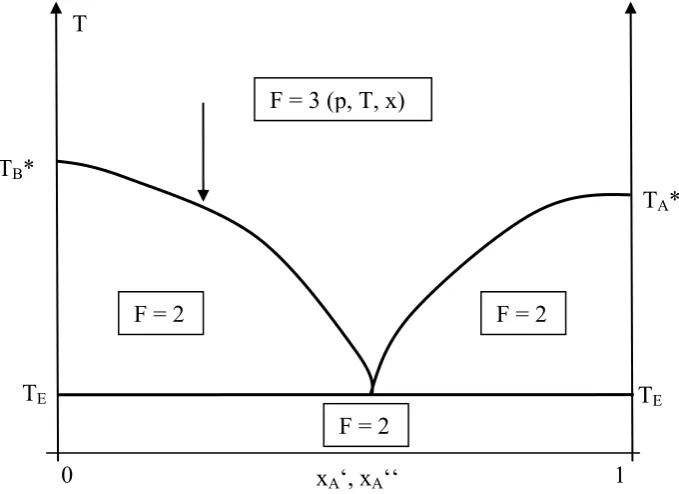 Fig. 2.25: Phase equilibrium between a binary liquid mixture and the solid phase in case both components may crystallize but do not form a mixed crystal