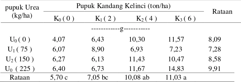 Tabel 5. Pengaruh aplikasi pupuk urea, pupuk kandang kelinci terhadap bobot kering tajuk pada akhir masa vegetatif 