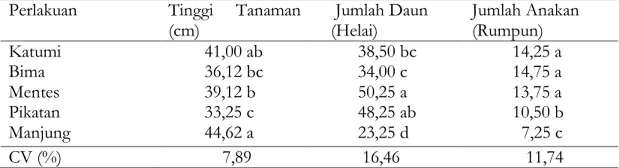 Tabel  1.  Rerata  Tinggi  Tanaman,  Jumlah  Daun  Dan  Jumlah  Anakan  Kelima  Varietas  Bawang Merah di Lokasi Visitor Plot Siantan, Pontianak Utara, Kalimantan Barat 