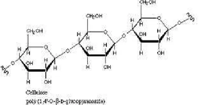 Gambar 2. Struktur Lignin [15]