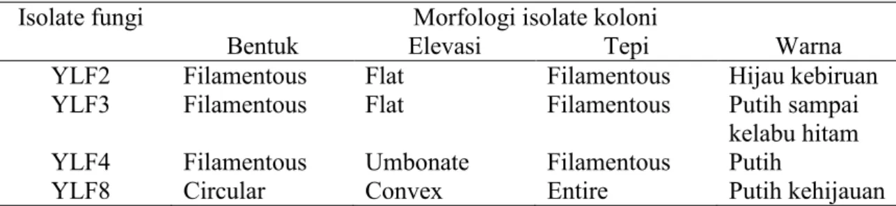 Tabel  1.  Karakteristik  makroskospis  morfologi  isolat  fungi  indigenous  pada  medium   Czapek Dox Agar (CDA)  