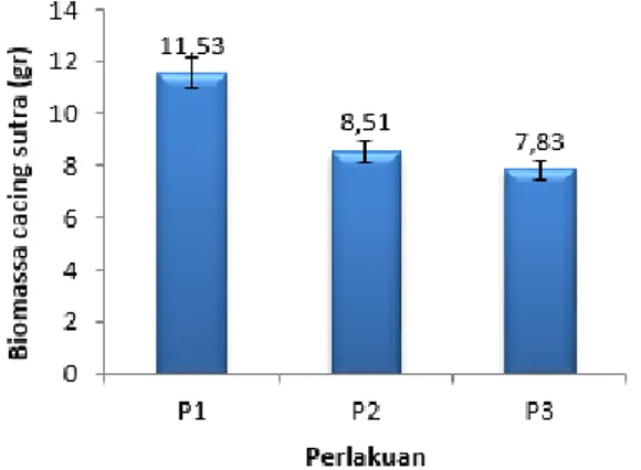 Gambar  1.  Grafik  Biomassa  Mutlak  Cacing  Sutra (Tubifex sp.). P1: Kotoran Kambing, P2:  Kotoran Sapi, P3: Kototan Ayam 