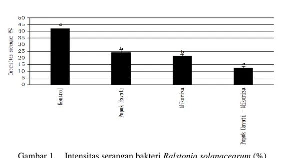 Gambar 1.    Intensitas serangan bakteri Ralstonia solanacearum (%) 