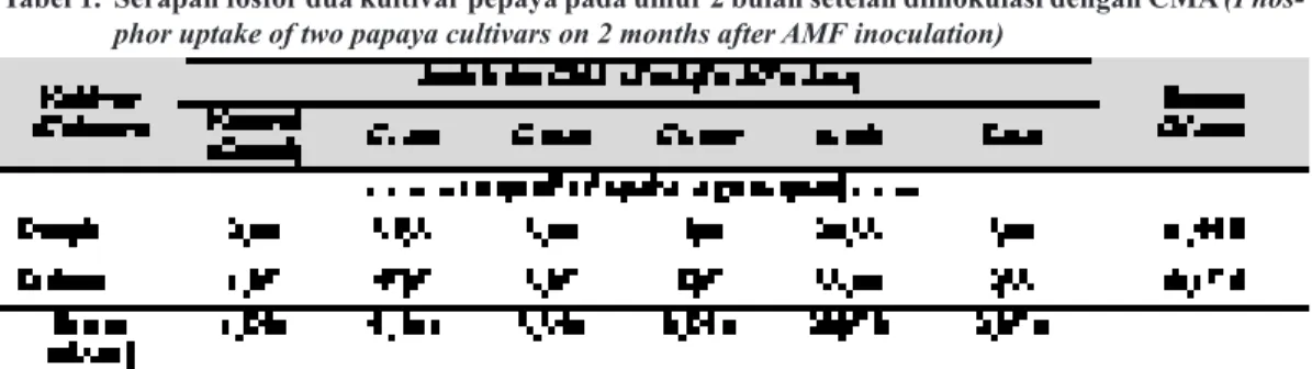 Tabel 1.  Serapan fosfor dua kultivar pepaya pada umur 2 bulan setelah diinokulasi dengan CMA (Phos-