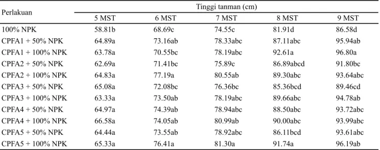 Tabel 3. Pengaruh cendawan pelarut fosfat terhadap tinggi tanaman padi umur 5-9 MST