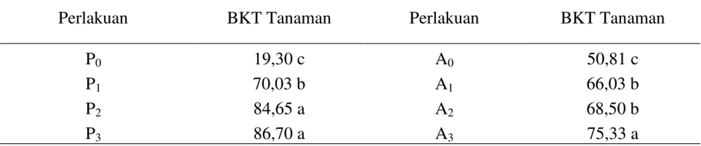 Tabel 8. Pengaruh aplikasi pupuk SP-36, pupuk kandang ayam terhadap berat kering tajuk (g) pada  akhir masa vegetatif 