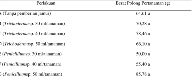 Tabel 2  Pengaruh  pemberian  Trichoderma  sp.  dan  Penicillium  sp.  terhadap  berat  polong  pertanaman 