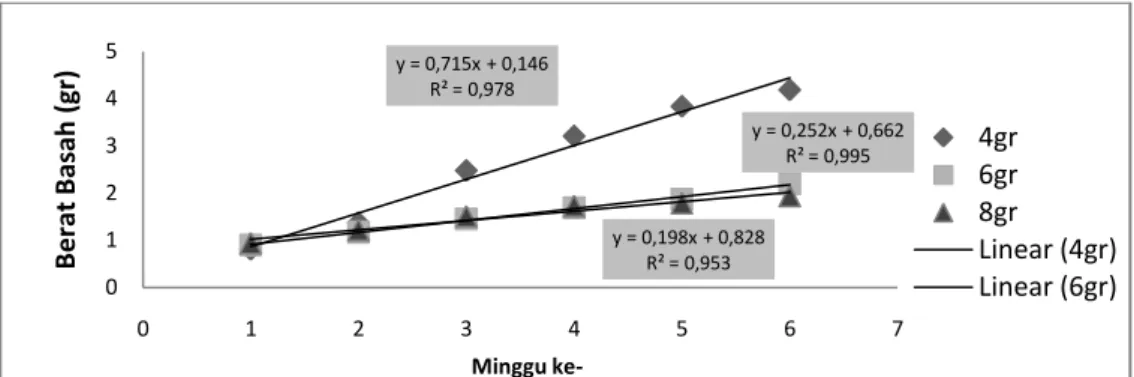 Diagram  6:  Regresi  pertumbuhan  berat  basah  tanaman  selada  (Lactuca  sativa  L ) selama 6 minggu pada hidroponik mini 