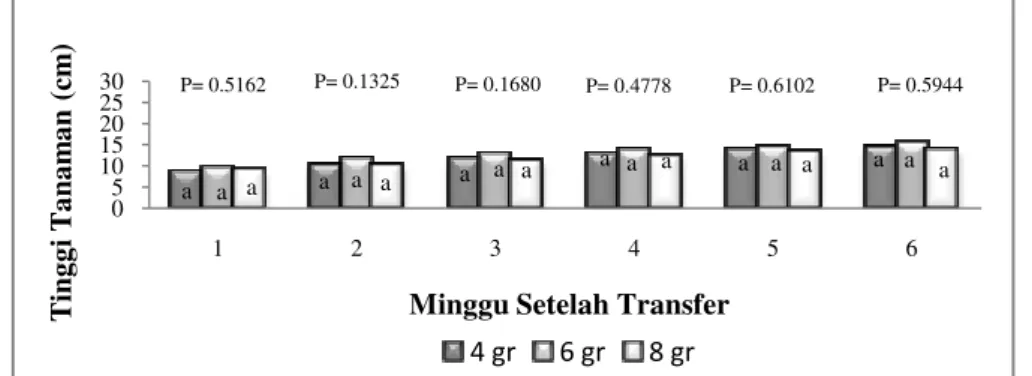 Diagram  2:  Diagram  perubahan  tinggi  tanaman  selada  (Lactuca  sativa  L)  minggu ke-1 sampai minggu ke-6 setelah transfer