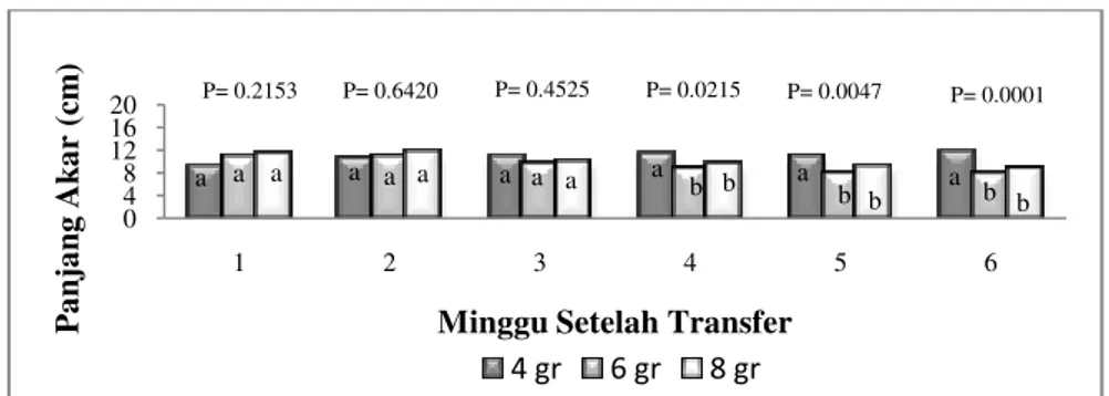 Diagram  3:  Diagram  perubahan  panjang  akar  tanaman  selada  (Lactuca  sativa  L) minggu ke-1 sampai minggu ke-6 setelah transfer