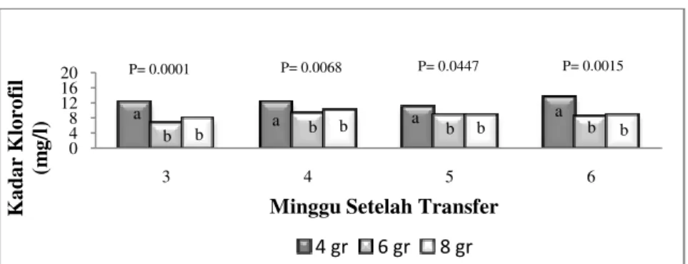 Diagram 4: Diagram perubahan kadar klorofil tanaman selada (Lactuca sativa  L) minggu ke-3 sampai minggu ke-6 setelah transfer