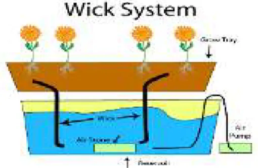 Gambar 2.9 Hidroponik wick system (Natalia, 2017). 