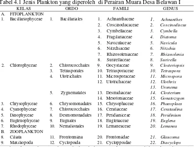 Tabel 4.1 Jenis Plankton yang diperoleh  di Perairan Muara Desa Belawan I 