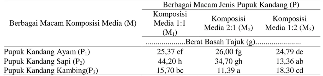 Tabel 6. Rata-Rata Berat Basah Tajuk (8 MST) Pada Interaksi Berbagai  Komposisi Media  (M) dan Berbagai Jenis Pupuk Kandang (P)