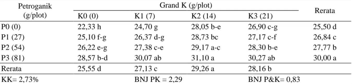 Tabel  1.      Rata-rata  tinggi  tanaman  kacang  tanah  pada  umur  28  hst  dengan  pemberian  pupuk  petroganik dan pupuk grand k (cm) 