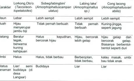 Tabel 1. Karakter Umum Pengenalan Tacca leontopetaloides dan Amorphophallus spp.