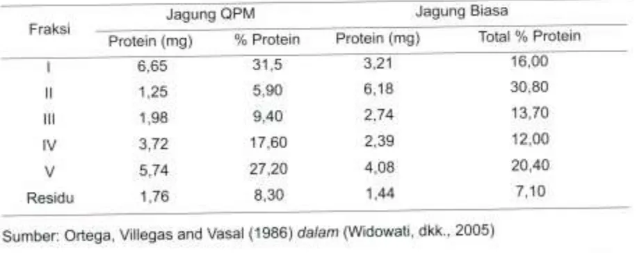 Tabel 3. Distribusi Fraksi Protein Pada Jagung Biasa dan QPM (Biji Utuh)