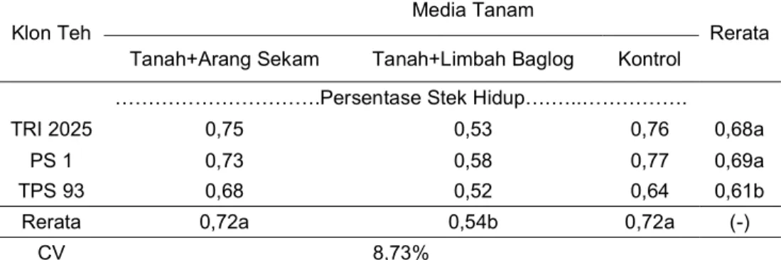 Tabel 1. Persentase Hidup Stek Teh pada Perlakuan Macam Media Tanam dan Klon 