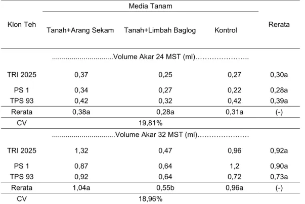 Tabel 4. Volume Akar Bibit Teh Umur 24 dan 32 MST pada Perlakuan Macam Media Tanam dan  Klon 
