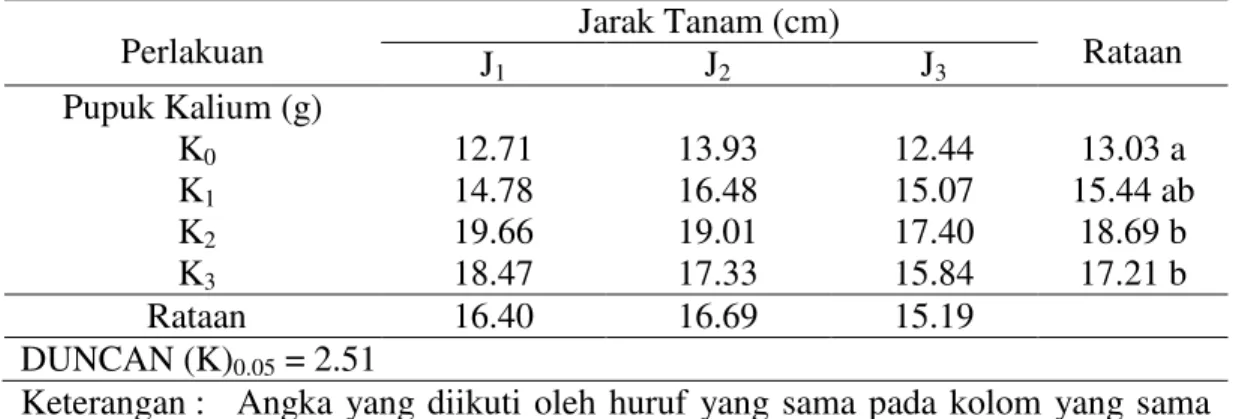 Tabel  4.  Rataan  bobot  basah  umbi  (g)  per  sampel  akibat  pengaruh  pemberian  pupuk kalium dan jarak tanam   