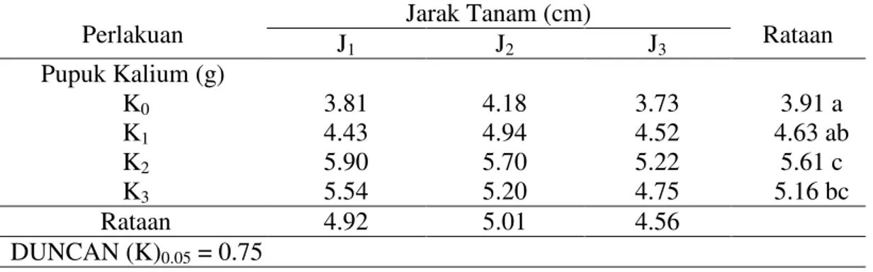 Tabel  6.  Rataan bobot kering umbi per sampel akibat pengaruh pemberian pupuk  kalium dan jarak tanam (g) 