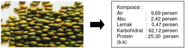 Gambar 1. Skema proses pembuatan kaldu kacang hijau (Phaseolus radiatus L.)secara fermentasi garam menggunakan inokulum Aspergillus sp-K3.