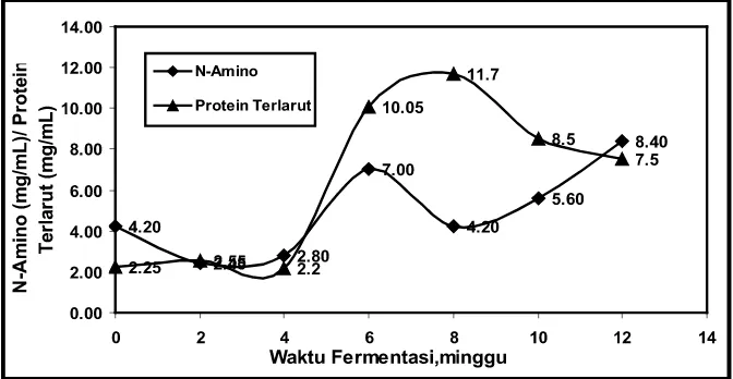 Gambar 6. Hubungan antara waktu fermentasi terbadap kadar protein terlarut dan N- aminokaldu nabati dan kacang hijau mengunakan inokulum  Aspergillus sp-K3 padasuhu ruang, skala laboratorium.