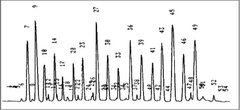 Gambar 9. Kromatogram asam-asam amino kaldu nabati kacang hijau (Phaseolus radiatusL) (crude/kaldu kasar) menggunakan inokulum Aspergillus sp-K3.