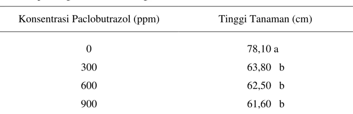 Tabel  1  menunjukkan  bahwa  pemberian  paclobutrazol  pada  tanaman  tomat  dengan  pemangkasan 