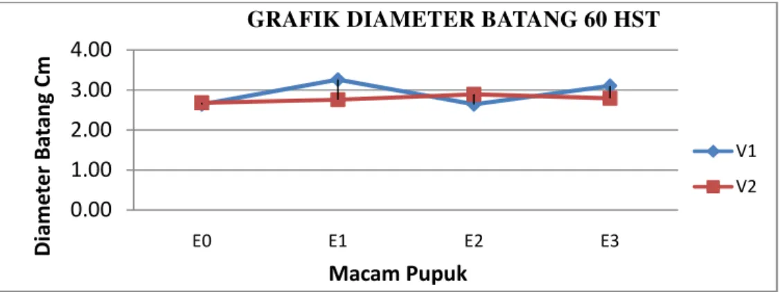 Grafik  Pengaruh  Interaksi  Macam  Varietas  Dan  Penggunaan  Pupuk  Terhadap  Diameter Ruas Batang 30 HST  