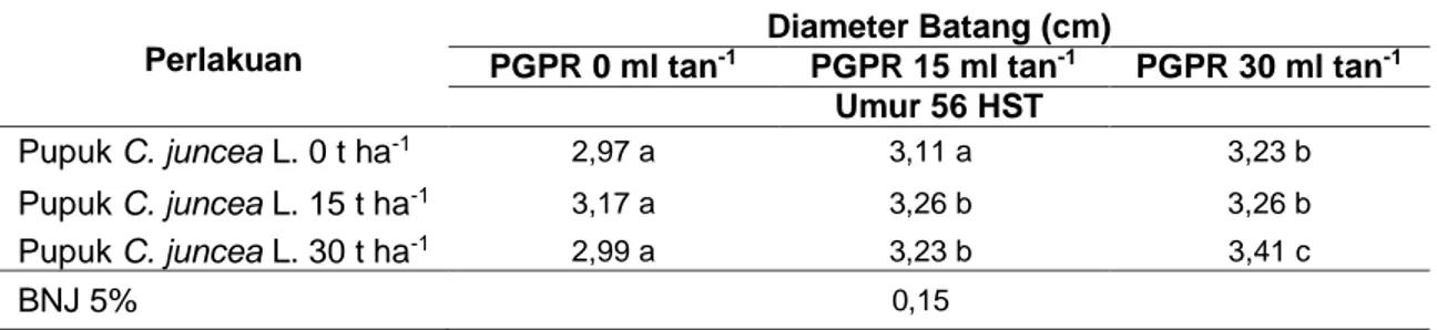Tabel 1. Rerata diameter batang tanaman jagung manis akibat interaksi C. juncea L.dan PGPR  pada umur 56 HST
