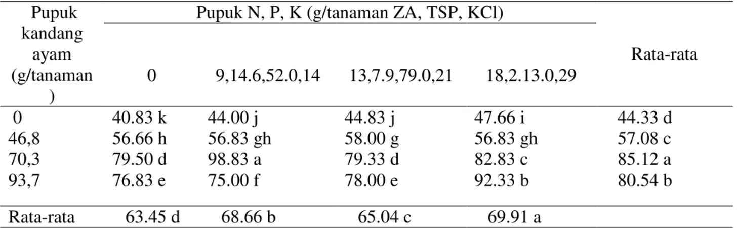 Tabel  7  memperlihatkan  berat  kering  tanaman  jagung  manis  dengan  pemberian  pupuk  kandang  70,3  g/tanaman    dan  9,14  g/tanaman    ZA,  6,52  g/tanaman  TSP,  0,14  g/tanaman  KCl berbeda nyata dan memiliki  berat  kering  terbesar  dibandingka