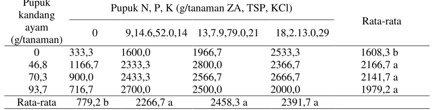 Tabel  6  memperlihatkan  bahwa  bobot  tongkol tanpa kelobot tanaman jagung manis  yang  diberi  pupuk  kandang  ayam  dan  ZA,  TSP,  KCl  berbeda  tidak  nyata  dengan  perlakuan  lainnya  tetapi  berbeda  nyata  dengan  perlakuan  tanpa  pemberian  pup