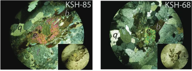 Fig. 4. Examples of magmatic epidote in the Ellisville pluton. Sample numbers correspond to samplesand locations listed in table 1
