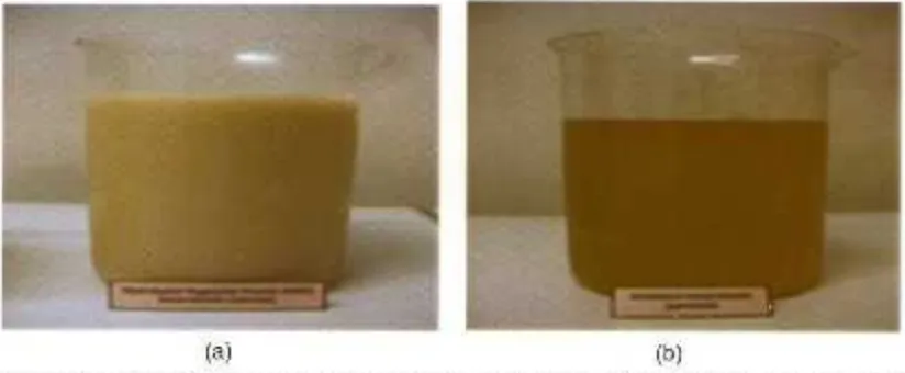 Gambar 8. Retentat (a) dan permeat (b) hasil mikrofiltrasi pada tekanan 4 bar selama 180