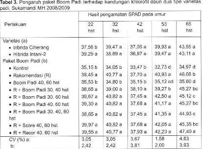 Tabel 3. Pengaruh paket Boom Padi terhadap kandunga i khiorofil daun dua tipe varietas